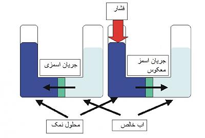 اسمز معکوس چیست